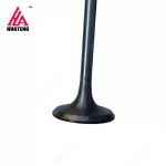 Diesel Engine FL912 FL913 Cylinder Head Intake Valve 04153631 Exhaust Valve 04153697 02237221 04159139 for Deutz