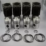 FL912 Parts Cylinder Liner Piston Set Assy 02928142 02925956 02929968 for Deutz