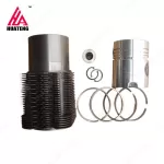 FL912 Parts Cylinder Liner Piston Set Assy 02928142 02925956 02929968 for Deutz