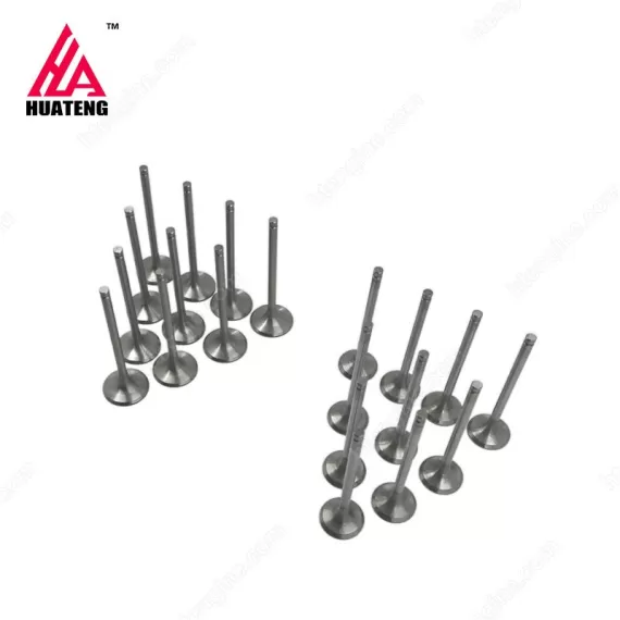 Diesel Engine Spare parts BFL913 Intake Valve 04153455 04159140 Exhaust Valve 04153697 02237221 04159139 for Deutz