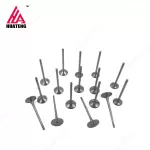 Diesel Engine Spare parts BFL913 Intake Valve 04153455 04159140 Exhaust Valve 04153697 02237221 04159139 for Deutz