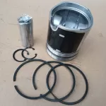BFL913 Cylinder Piston Set Diesel 3 Rings DSF 3.0 mm Pin Diameter 35 mm 04232422 04232102 04232246 for Deutz