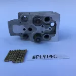 BF6L914C Cylinder Head Assembly 04234520 04233843 for Deutz