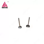 BFM1013 Exhaust Valve 04255255 04283381 04289248 Inlet Valve 04255254 04283380 04289247 for Deutz