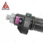 TCD2013 High-Pressure Pump 02113696 for Deutz