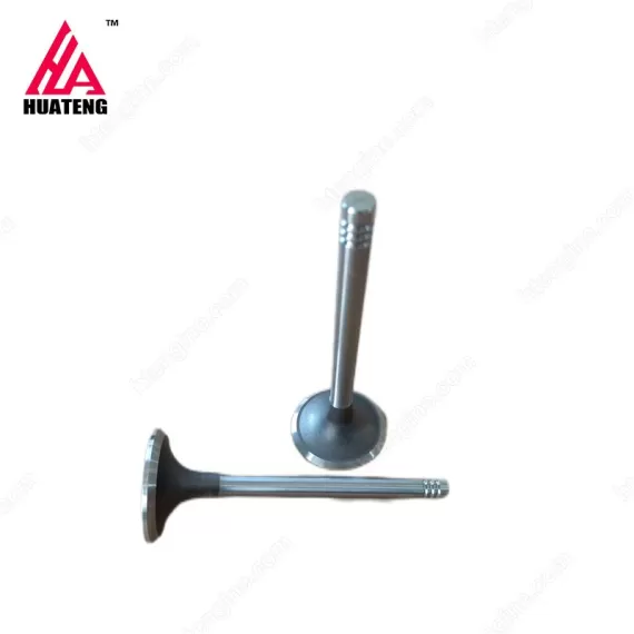 Weichai 226B Exhaust valve 12159608