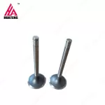 Weichai 226B Exhaust valve 12159608