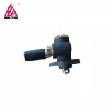 Weichai 226B Supply pump 13029828