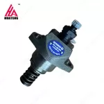 BFL1011 FL1011 Engine Parts Fuel Injection Pump Unit Pump 04179573 0417 9573 for Deutz