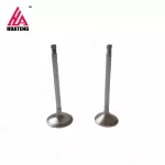 BFM1015 Intake Valve 04226413 04220143 Exhaust Valve 04226412 04220142 04267455 for Deutz