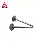 BFM1015 Intake Valve 04226413 04220143 Exhaust Valve 04226412 04220142 04267455 for Deutz